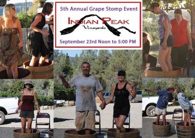 5th Annual Grape Stomp – Indian Peak Vineyards Winery