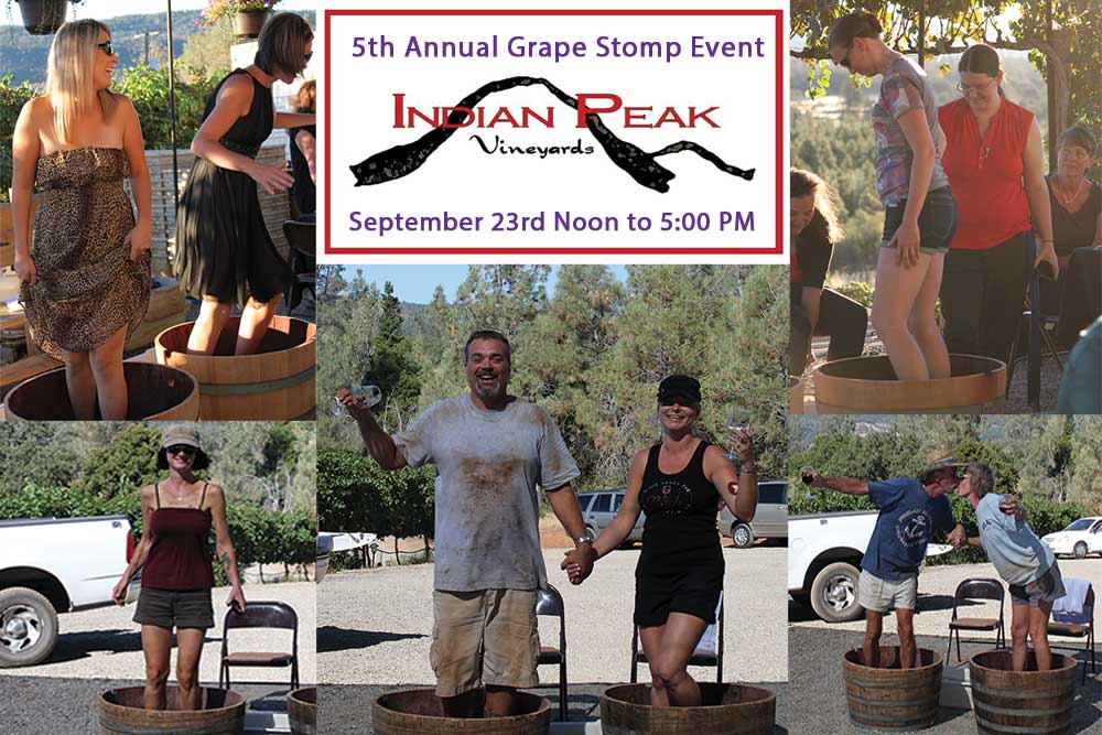 5th Annual Grape Stomp Winemaking Event Promotion Graphic for Indian Peak Vineyards Winery, Manton, CA 96059.