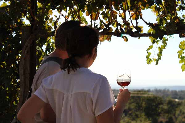 IPV-Manton-Wine-Tasting-Room-Picturesque-View-Couple-Enjoying-the-Afternoon-through-the-Grapevines